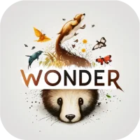 Wonder Walls
